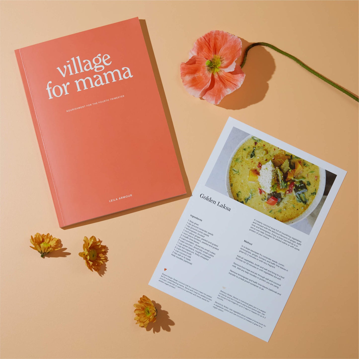 Village For Mama Book
